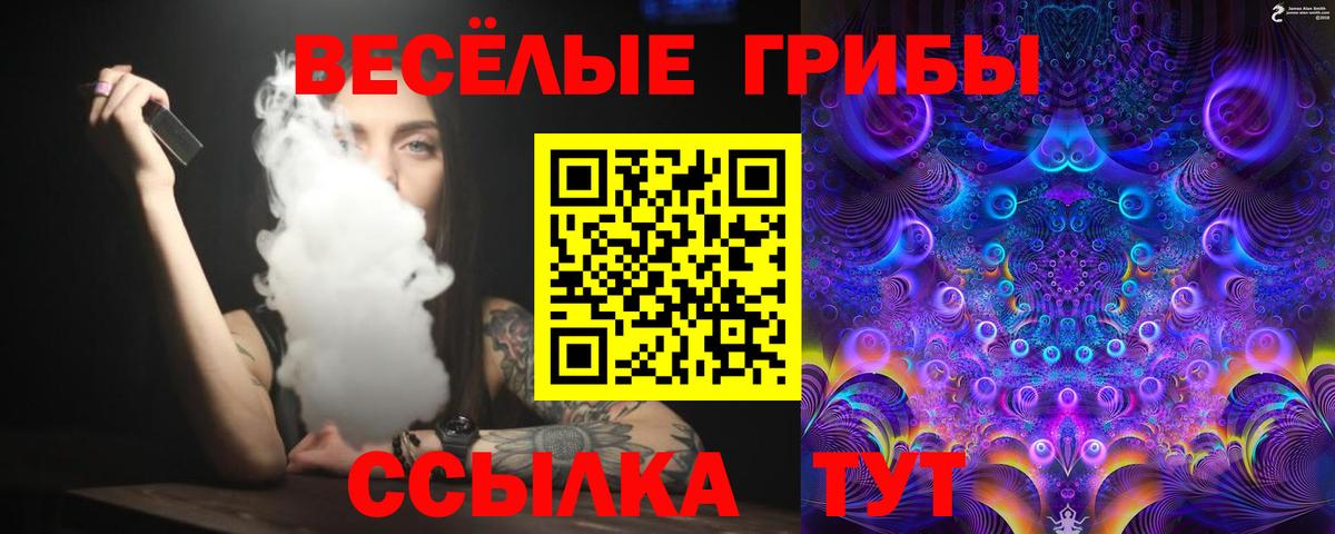 сколько стоит  Псилоцибиновые грибы Cubensis  Вход с VPN  Елец  Псилоцибиновые грибы Psilocybine cubensis 